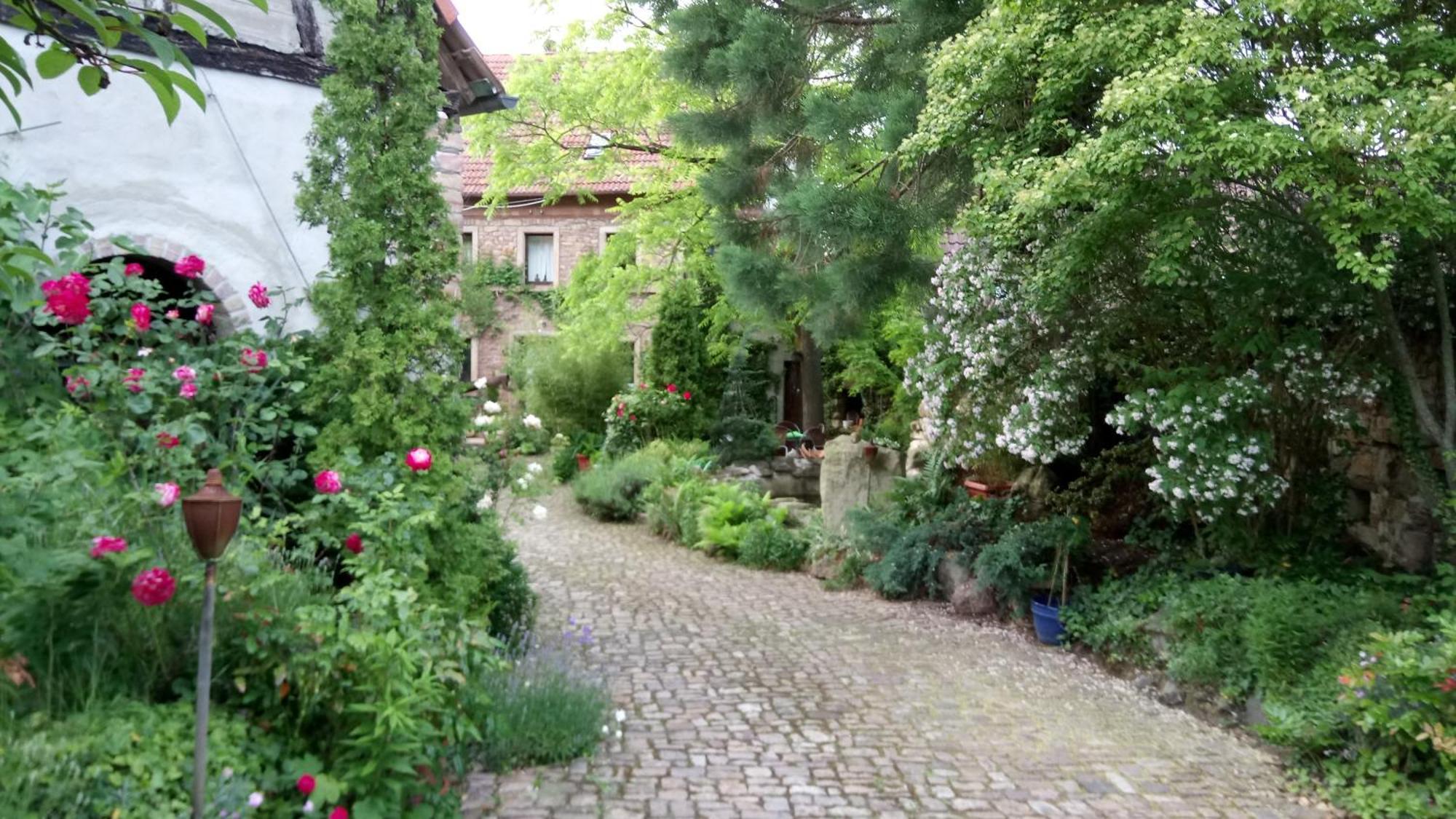 Апартаменты "El Patio" Am Donnersberg Dannenfels Экстерьер фото