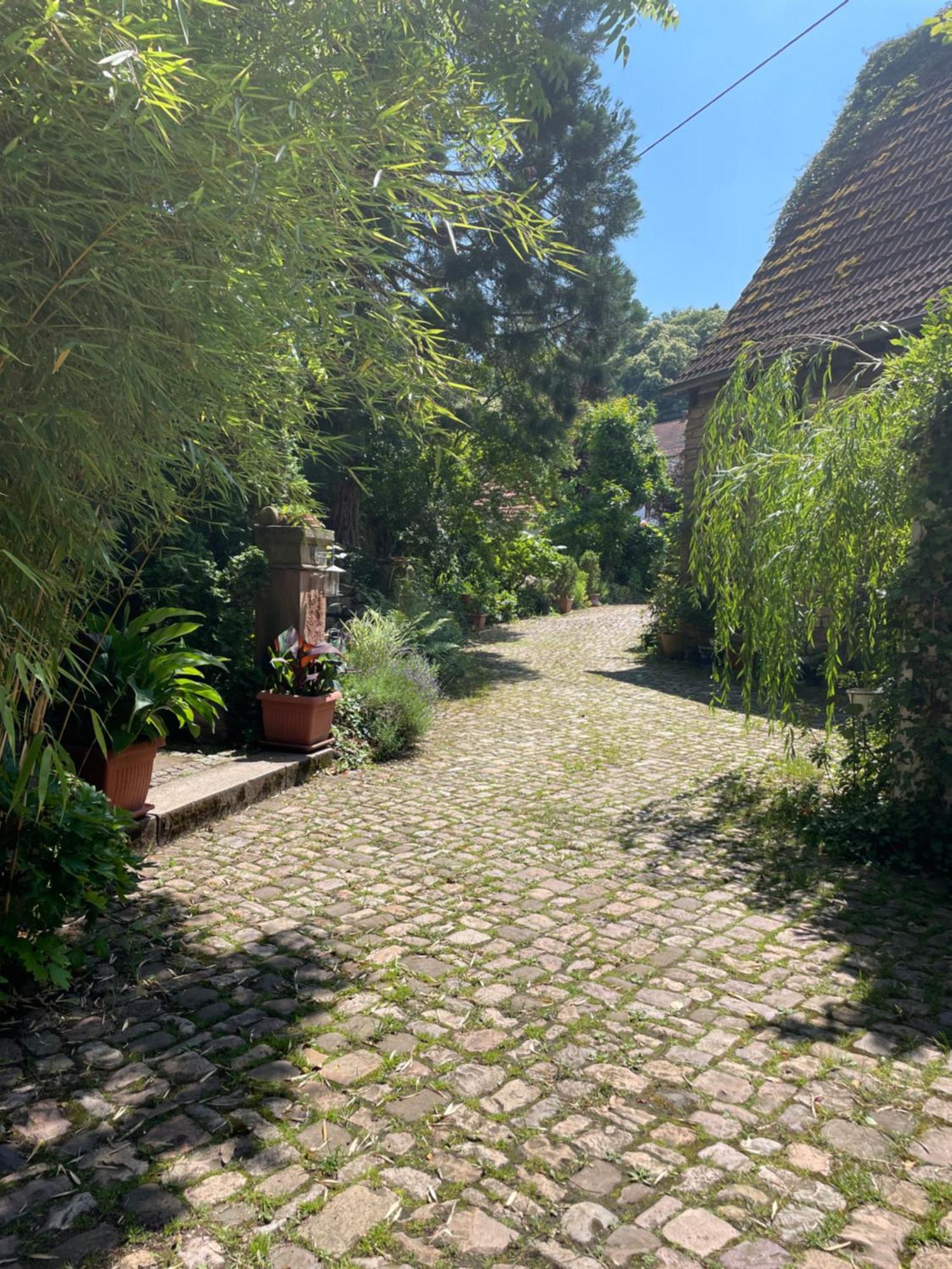 Апартаменты "El Patio" Am Donnersberg Dannenfels Экстерьер фото