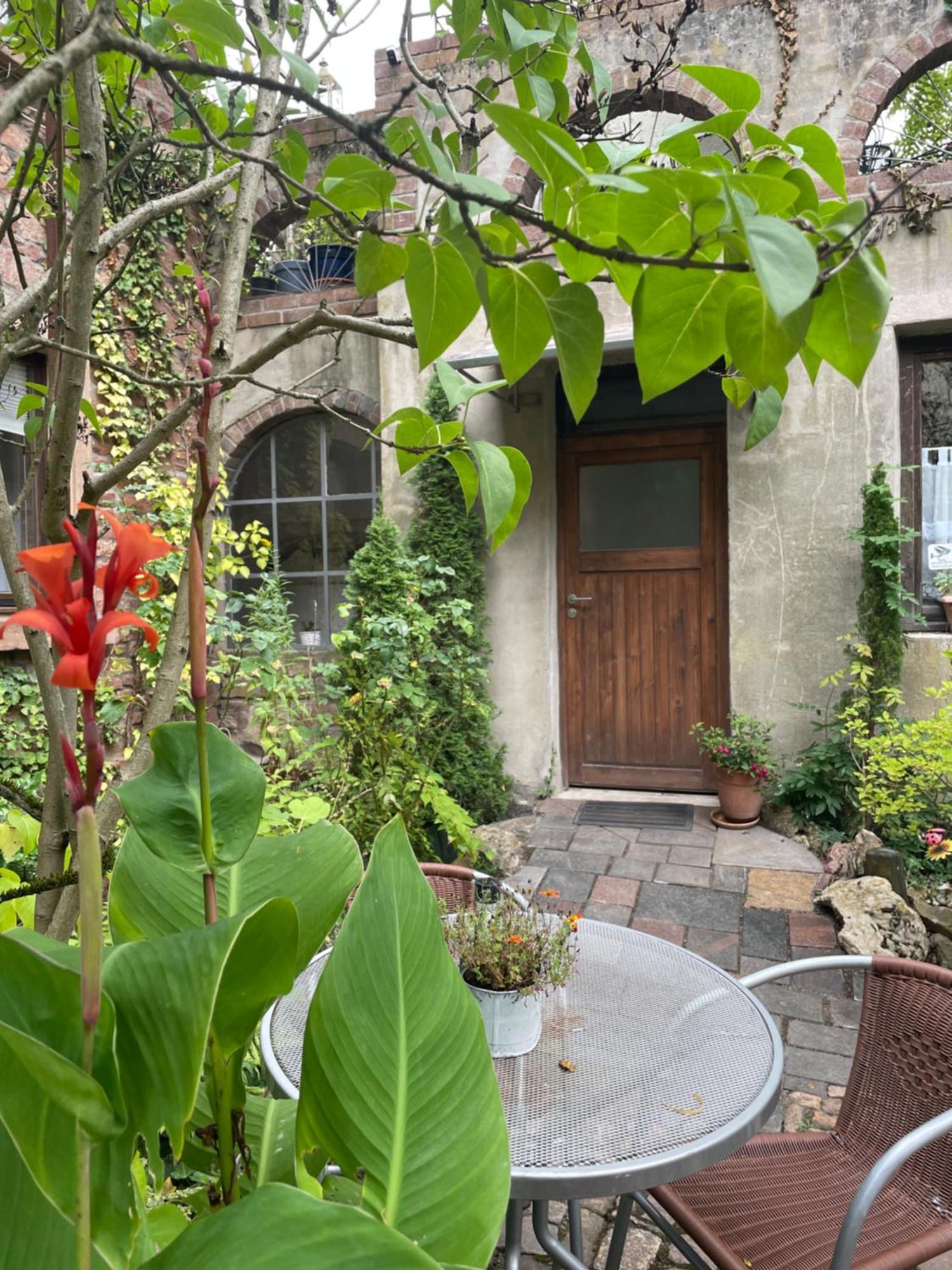 Апартаменты "El Patio" Am Donnersberg Dannenfels Экстерьер фото
